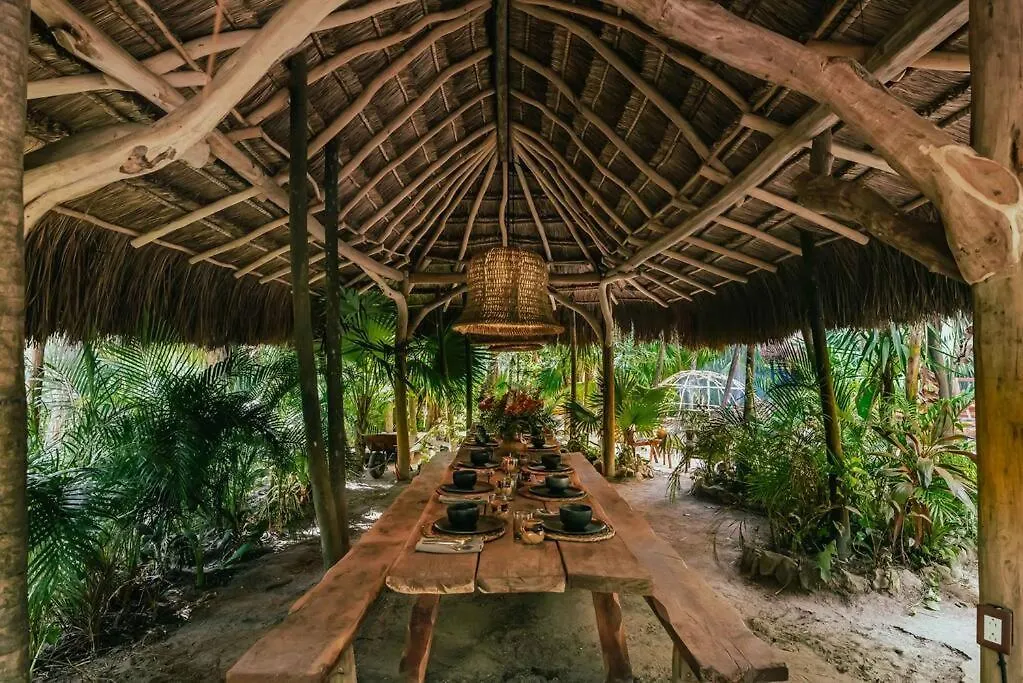 Stunning Jungle Treehouse With Lakefront & Beachside Tulum