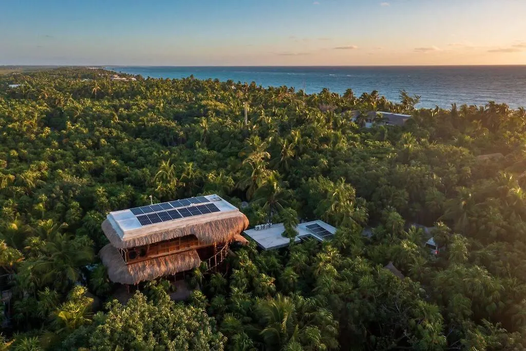 Stunning Jungle Treehouse With Lakefront & Beachside Tulum 0*,  Mexico