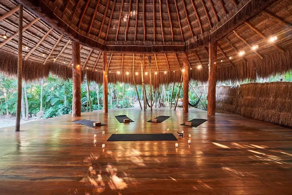 Stunning Jungle Treehouse With Lakefront & Beachside Tulum